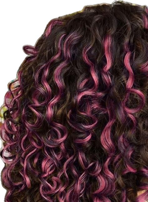 Dyed Curly Hair Highlights, Brown To Pink Balayage, Highlight Hair Ideas, Curly Pink Hair, Pink Balayage, Hair Highlights Curly Hair, Hair Highlights Curly, Pink Curls, Curly Hair Highlights