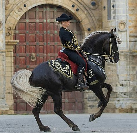 Mexican Horse Riding, Rearing Horse With Rider, Warlander Horse, Knight Core, Iberian Horse, Equestrian Photoshoot, Horses Tack, Horse Costume, Lusitano Horse