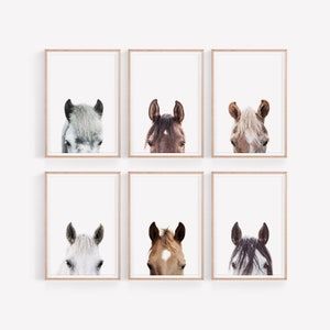 Set of 3 Horses Prints Horses Portraits Wall Art Set DIGITAL | Etsy Horse Wall Murals, Horse Framed Wall Art, Decorating With Horse Pictures, Girls Horse Bedroom Ideas, Girls Room Horse Theme, Horse Room Ideas, Horse Themed Nursery, Horse Bedroom Ideas, Girl Horse Room