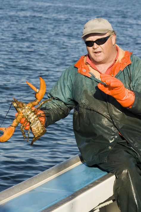 Fisherman and a live lobster. Fisherman and a live female lobster on a boat in t #Sponsored , #SPONSORED, #sponsored, #live, #female, #lobster, #Fisherman Lobster Fisherman, Lobster Stock, Live Lobster, On A Boat, Atlantic Ocean, The Atlantic, Photo Image, Royalty Free Stock Photos, Prince