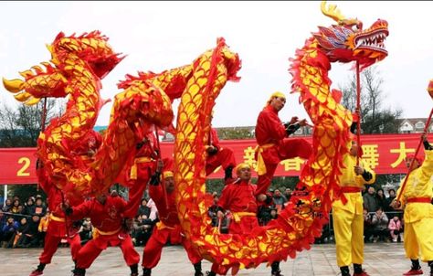 Dragon Costume Diy, Chinese Dragon Costume, Dragon Dance Costume, Traditional Dragon, Party City Costumes, Chinese New Year Dragon, Chinese Festival, Black Halloween Dress, Dragon Costume