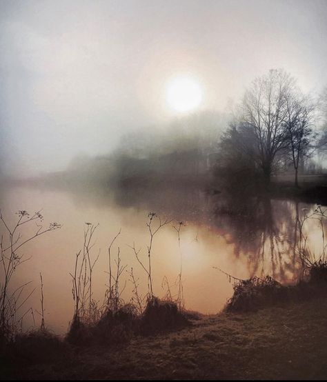 Misty Sunrise, Light And Shadow Photography, Have A Nice Evening, Moody Painting, Watercolor Art Face, Pastel Landscape, Landscape Drawings, Nature Plants, Draw On Photos