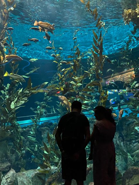 Ripleys Aquarium Toronto, Ripleys Aquarium, Aquarium Date, International Trip, Toronto, Dates, Instagram