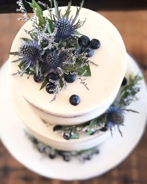 - Check more at https://howcandothis.com/weddingideas/79359/ Wedding Cakes With Blueberries, Blue Thistle Wedding Cake, Wedding Cake Blueberries, Huckleberry Wedding Cake, Wedding Cake With Blueberries, Blueberry Themed Wedding, Scottish Wedding Cake Ideas, Different Wedding Cake Ideas, Blueberry Wedding Theme