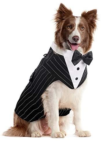 Tuxedo Wedding Party, Dog Tuxedo Wedding, Dog Wedding Bandana, Formal Dog, Big Dog Clothes, Dog Sewing, Dog Wedding Attire, Dog Tuxedo, Dog Suit