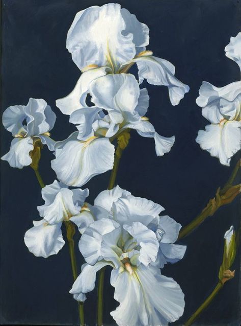 White Iris, Midnight Blue Painting by Marie Alsbrooks | Saatchi Art Iris Painting, White Iris, Blue Art Prints, Identity Art, China Art, Blue Painting, Iris Flowers, Photorealism, Original Art For Sale