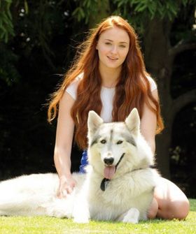 Get Ready For The Most Adorable GoT Story Ever #Refinery29  Sophie Turner adopts Lady Sansa Stark Actress, Outdoors Game, Redhead Actress, Game Of Thrones Wolf, Northern Inuit Dog, Game Of Thrones Instagram, Game Of Thrones Sansa, Game Of Thrones Facts, Game Of Thrones Funny