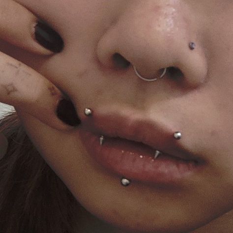 Fang Piercing Lip, All Lip Piercings, Lip Fang Piercing, Vertical Monroe Piercing, Fang Percing, Angel Fang Peircings, Fang Peircings, Angel Fangs Piercing Lip, Angel Bites Fangs