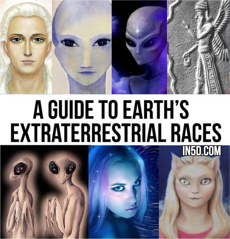 Alien Theories, Aliens History, Ancient Astronaut, Unexplained Phenomena, Arte Alien, Aliens And Ufos, Alien Races, Ufo Sighting, Crop Circles