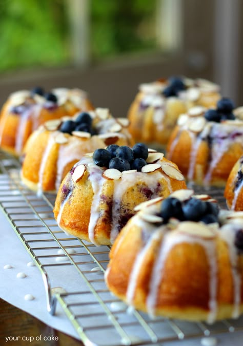 Blueberry Almond Mini Bundt Cakes Mini Bunt Cake, Blueberry Cakes, Mini Bundt Cakes Recipes, Citrus Glaze, Blueberry Bundt, Blueberry Wine, Mousse Au Chocolat Torte, Blueberry Bundt Cake, Mini Torte