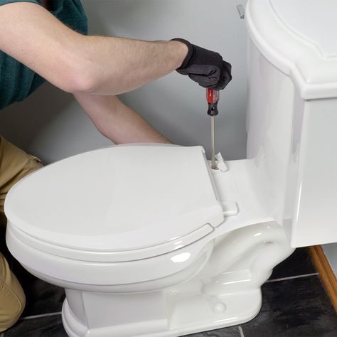 How to Replace a Toilet Seat Replace Toilet, Toilet Installation, Wax Ring, Shop Vacuum, Diy Crafts Life Hacks, New Toilet, Flush Toilet, Home Center, Family Handyman