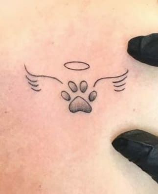 Puppy Memorial Tattoo, Tattoo For Dead Dog, Tattoos For Dead Dogs, Dead Pet Tattoo, Dead Dog Tattoo, Diva Tattoo, Shih Tzu Tattoo, Blush Pink Nails, Turtle Tattoo Designs