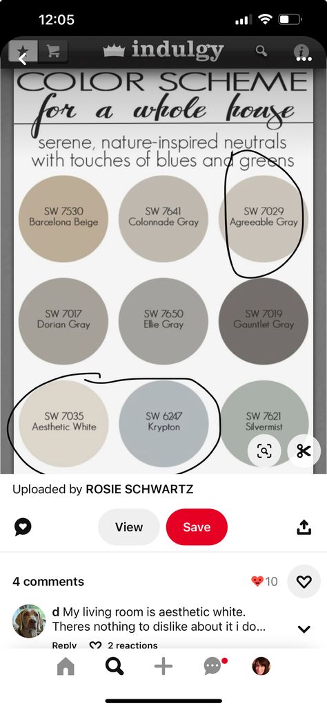 Agreeable Gray Lightened 25%, Cabinet Color With Agreeable Gray Walls, Accent Colors For Agreeable Gray, Agreeable Gray Complimentary Colors, Agreeable Gray Color Scheme, Agreeable Grey Color Scheme, Living Room Paint Design, Outdoor House Colors, Paint Combos