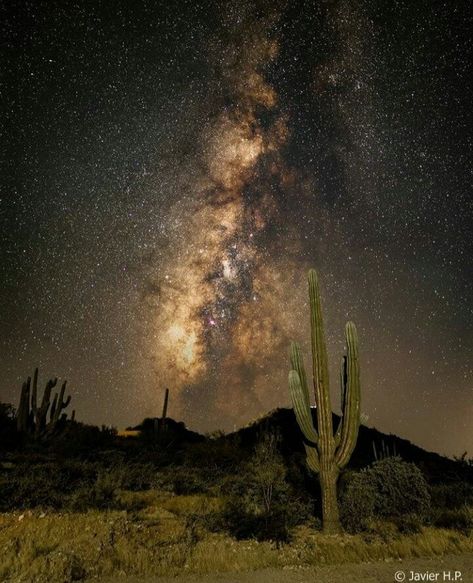 Mexican Landscape, Moon Goddess Art, Mexico Nature, Art Of God, Desert Town, Moon Artwork, Shoot For The Moon, Beautiful Night Sky, Nature Is Beautiful