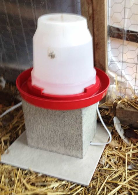 Diy Chicken Water, Chicken Water Heater, Chicken Waterer, Chicken Feeders, Chicken Life, Raising Backyard Chickens, Diy Chicken, Keeping Chickens, Building A Chicken Coop