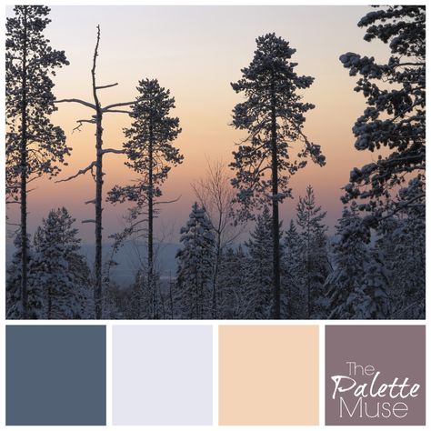 Winter Solstice Color Palette Winter Solstice Color Palette, Home Paint Color, Painted Furniture Colors, Winter Color Palette, Chalk Paint Colors, Holiday Food, Winter Night, Winter Solstice, Paint Colors For Home