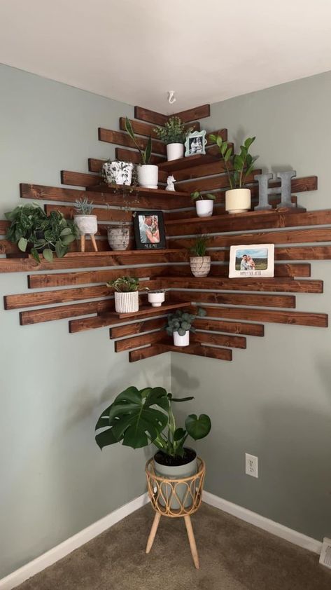 Help with House Plants | Just wanted to share my new DIY plant shelf 🪴 pretty easy to create if anyone is looking for ideas 😊 | Facebook Corner Plant Shelf Diy, Diy Corner Shelf Easy, Diy Plant Shelf, Corner Plant Shelf, Diy Corner Shelf, Corner Plant, Earthy Home, Plant Shelf, Plant Stand Indoor