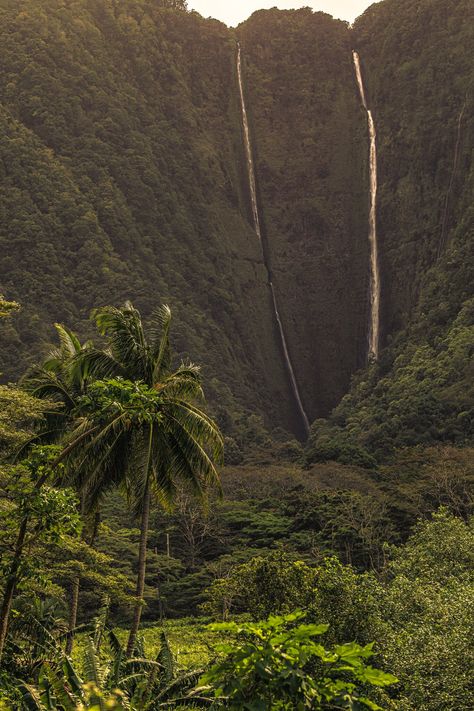 Island Photography, Caribbean Island, Hawaii Nature, Hawaii Photos, Island Aesthetic, Hawaii Jungle Aesthetic, Big Island Hawaii Aesthetic, Hawaii Landscape Photography, Waipio Valley Hawaii