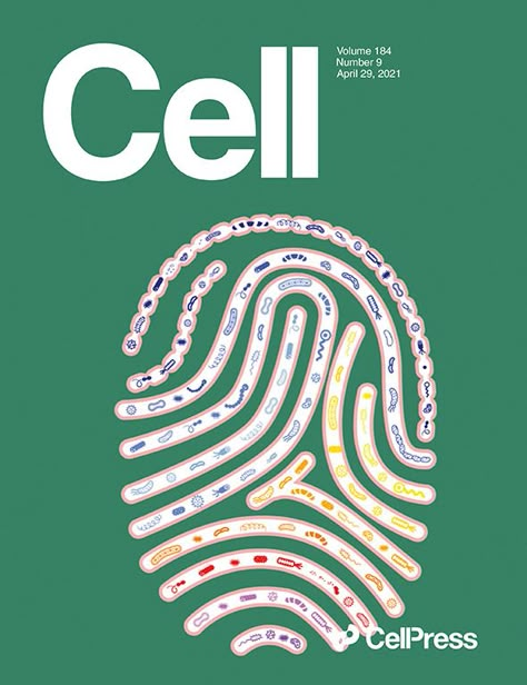 Medical Poster Design Ideas, University Poster Design, Cells Illustration, Science Graphic Design, University Poster, Cover Art Inspiration, Cell Art, Biology Poster, Diy Graphic Design