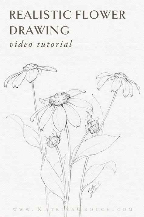 Join me on this first day of my annual drawing challenge: Gardentober! ​ ​I'm so excited to show you how I draw these realistic flowers (black eyed Susans or "Rudbeckia") with pencil. ​ ​This real time drawing tutorial is beginner friendly and the perfect way to uplevel your drawing skills. #drawingtips #drawingtutorial #pencilsketches #drawingchallenge Beautiful Flowers Drawing Sketches, Wild Flowers Drawing Sketch, Pencil Flower Drawings, Drawing Botanicals, Realistic Flower Drawing, Black Eyed Susans, Pencil Drawings Of Flowers, Bee Drawing, Flower Sketch