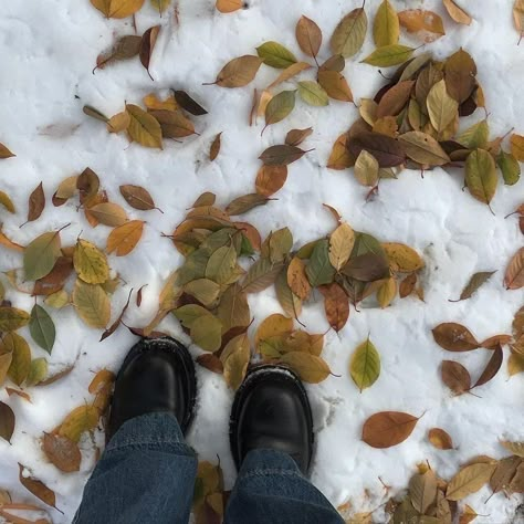 Leaves On The Ground, Aesthetic Widget, Holiday Aesthetic, Gilmore Girl, Spotify Covers, Best Seasons, Winter Aesthetic, Autumn Aesthetic, Samhain