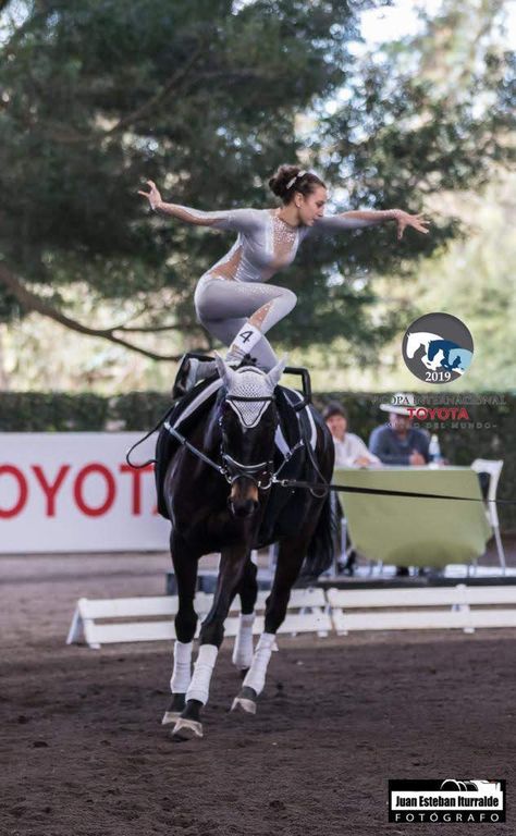 Equestrian Vaulting Moves, Horse Disciplines, Vaulting Horse, Equestrian Vaulting, Vaulting Equestrian, Horse Vaulting, Trick Riding, Horse Boarding, Horse Equestrian