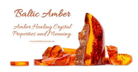 Read this from Healthy NaturedAmber healing crystal, also known as "sunshine petrified," is a unique gemstone that has been revered for centuries. It has a beautiful golden hue and incredible healing properties. Amber is fossilized tree resin that, over millions of years, has undergone a complex process of natural transformation. Baltic Amber: Amber Meaning And Amber Healing Crystal Properties., https://www.healthynatured.com/amber-healing-crystal-meaning/ was published by contentneuron on Healt Amber Crystal Meaning, Amber Meaning, Natural Health Quotes, Healing Crystals Meanings, Natural Health Supplements, Crystal Properties, Amber Fossils, Health Heal, Natural Health Care