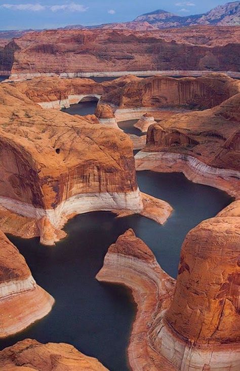 Canyon Lake is one of four reservoirs that were formed by the damming of the Salt River in the U.S. state of Arizona.The lake was formed by the Mormon Flat Dam, which was completed in 1925 after two years of construction. Canyon Lake Canyon Lake Arizona, Arizona Lakes, Glen Canyon, Canyon Lake, Lake Powell, North Cascades, Red Rocks, Arizona Usa, Bryce Canyon