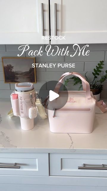 Stanley Lunch Box Ideas, Stanley Storage Ideas, Stanley Cup Storage Ideas, Stanley Bag, Stanley Cup Accessories, Stanley Cup Aesthetic, Nurse Organization, Gift Games, Nursing School Inspiration