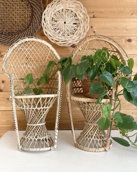 AVAILABLE Pair of vintage wicker peacock chair plant stands in good condition with minor unraveling and fraying, handmade in the Philippines, 10x16” 🏷️ $30 . . . . . #vintagewicker #wicker #wickerchairs #peacockchair #wickerpeacockchair #vintagepeacockchair #peacockchairplantstand #plantstand #wickerplantstand #bohodecor #wickerdecor #vintagedecor #hamontvintage #rescuednestavailable Wicker Peacock Chair, Peacock Chair, Wicker Decor, Wicker Chairs, Plant Stands, Vintage Wicker, Plant Stand, The Philippines, Vintage Decor