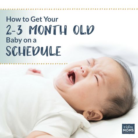 How to Get Your 2-3 Month Old Baby on a Schedule {Free Worksheets!} 11 Month Old Baby, 5 Month Baby, Baby Sleep Training, 2 Month Old Baby, 5 Month Old Baby, Baby Routine, Baby Feeding Schedule, 3 Month Old Baby, Baby Schedule