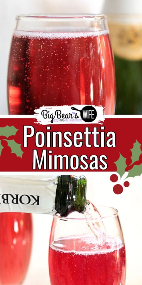 Poinsettia Drink Recipe, Cranberry Mimosa Champagne, Bomb Pop Mimosa Recipe, Orange Juice And Champagne Mimosas, Poinsettia Drink Champagne, Big Batch Mimosa Recipe, Christmas Mimosas Champagne, Christmas Drink With Champagne, Champagne Christmas Cocktail