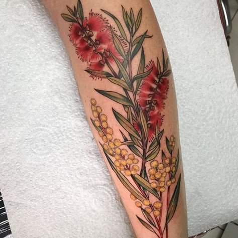 Wattle Flower Tattoo, Bottle Brush Tattoo, Australian Natives Tattoo, Native Flower Tattoo Australian, Native Australian Tattoo, Australian Flowers Tattoo, Native Flower Tattoo, Australian Native Floral Tattoo, Australian Bush Tattoo