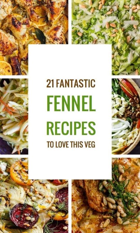 Best Fennel Recipes, Fennel And Mushroom Recipes, Fennel And Zucchini Recipes, Fennel Root Recipes, Shrimp And Fennel Recipes, Recipes For Fennel, Fennel And Potato Recipes, Fennel Dinner Recipes, Fennel Leaves Recipes