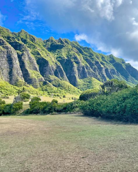 Fam, dreaming of adventure in paradise aka Hawaii? 🌺🏞️Dive into the breathtaking beauty of @kualoaranch in Honolulu, Hawaii: From lush jungles to iconic movie sets, it’s definitely a must✅ Swipe👉🏾 for more and if you visit Honolulu, put this on your list👌🏾 🌴✨🎬Fun fact: Kualoa was the backdrop for film and TV productions like Jurassic Park, Jurassic World, 50 First Dates, Lost and Hawaiʻi Five-O. #traveltuesdays #kualoaranch #hawaiiadventures #travelinspiration #honoluluhawaii #thingstodo... Oahu Jurassic Park, Hawaii Jurassic Park, Volcanic National Park Hawaii, Visiting Honolulu, Jurassic Park Hawaii Oahu, Hilton Hawaiian Village Waikiki Oahu Hawaii, 50 First Dates, Hawaii Adventures, Honolulu Hawaii