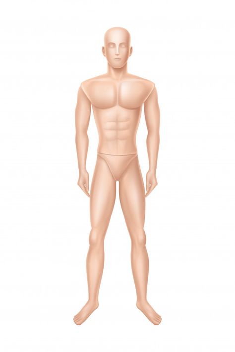 Male mannequin, manikin for clothing sto... | Free Vector #Freepik #freevector #hand #fashion #man #sport Fashion Mannequin Sketch Male, Fashion Mannequin, Male Mannequin, Business Woman Successful, Hand Fashion, Body Sketches, Woman Sketch, Student Girl, Female Profile