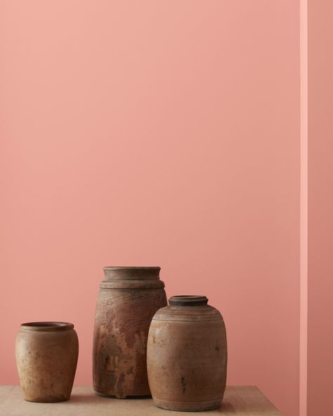 Benjamin Moore Pink, Unglazed Pottery, Paint Color Swatches, Peach Paint, Fan Coral, Paint Colors Benjamin Moore, Benjamin Moore Colors, Benjamin Moore Paint, Color Chip