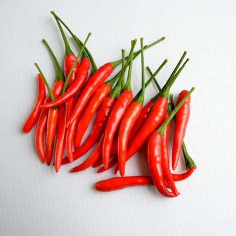 300 Seeds Bird's Eye Chili Seeds Organic Thai Chili Pepper Seed for Planting Birds Eye Chili, Thai Chili Pepper, Hot Pepper Seeds, Thai Chili, Capsicum Annuum, Pepper Spice, Organic Decor, Sandy Soil, Pepper Seeds