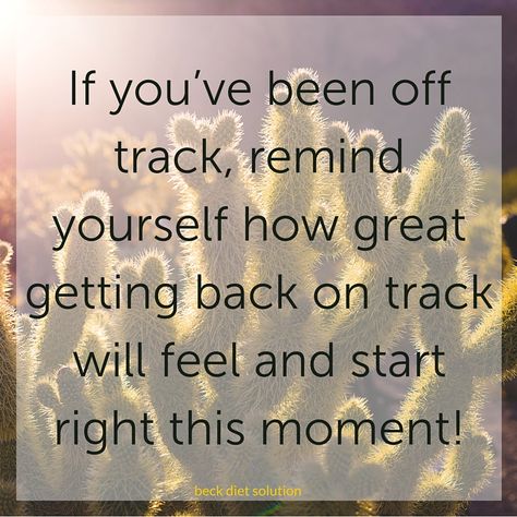 When dieters get off track, they sometimes forget how much better it feels to be in control of their eating and to be feeling good about themselves and their eating. If you’ve been off track, remind yourself how great getting back on track will feel and start right this moment! Back On Track Quotes, Beck Diet Solution, Track Quotes, Getting Back On Track, Diet Quotes, Get Back On Track, Healthy Motivation, Fitness Motivation Quotes, I Work Out