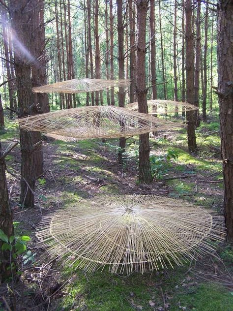 Boom Kunst, Environmental Sculpture, Ephemeral Art, Earth Art, Forest Art, Outdoor Sculpture, Outdoor Art, Land Art, Environmental Art