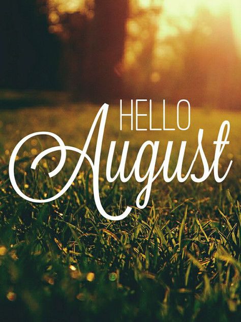 August Hello August Images, New Month Wishes, August Pictures, August Images, Neuer Monat, August Quotes, August Wallpaper, Welcome Quotes, Hello April