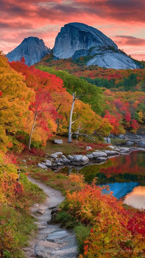 Maine in the Fall: A Guide to the 7 Best Leaf-Peeping Locations - He Travels Solo Maine In The Fall, Steampunk City, Harvest Blessings, Leaf Peeping, Fall Images, What A Beautiful World, Beautiful Roads, Outdoor Stairs, Genesis 1