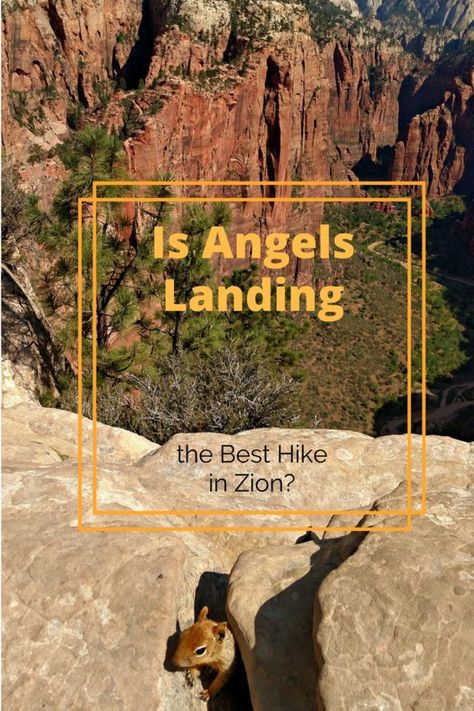 Hiking Angels Landing Zion #Zion #Utah #ZionNationalPark #Hiking Angels Landing Zion, Zion National Park Hikes, Angels Landing, Hiking National Parks, Utah Travel, Hiking Destinations, National Parks Usa, Beautiful Travel Destinations, Utah National Parks