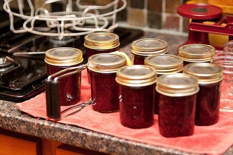 Razzleberry Jam, Blackberry Puree, Raspberry Bushes, Raspberry Bush, Canning 101, Can Jam, Jam And Jelly, Jams & Jellies, Jam Recipes