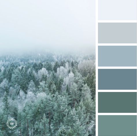 Winter Color Palette Blue Spruce Color Palette, January Color Pallete, Vintage Winter Color Palette, January Color Scheme, Alpine Color Palette, Winter Forest Color Palette, Snowy Color Palette, January Colour Palette, Arctic Color Palette