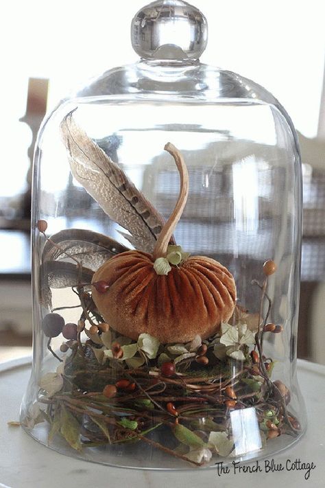 Fall Decorations Neutral Colors, Unique Fall Centerpieces, Vintage Thanksgiving Decor, French Country Fall Decor, Autumn Vignettes, Vintage Fall Decor Ideas, Cottage Fall Decor, Autum Decorations, Glass Cloche Decor