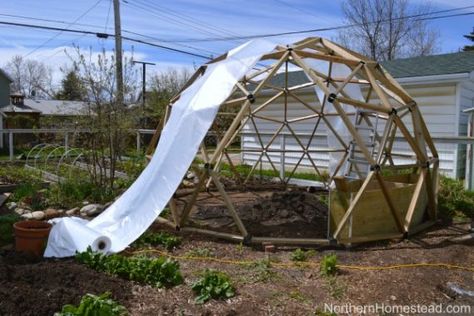 How to Build a Geodesic Dome Greenhouse Version 2 - Northern Homestead Geodome Greenhouse, Geodesic Dome Plans, Geodesic Dome Greenhouse, Cheap Greenhouse, Greenhouse Design, Dome Greenhouse, Geodesic Dome Homes, Portable Greenhouse, Small Greenhouse