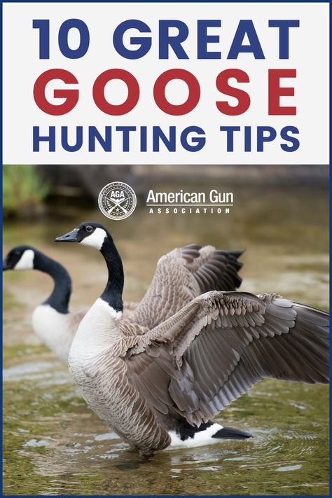 Hunting Must Haves, Hunting Gear List, Dove Hunting Tips, Military Hunting Outerwear For Fall, Deer Processing, Hunting Tips And Tricks Deer, Hunting Calls, Snow Goose Hunting, Dove Hunting