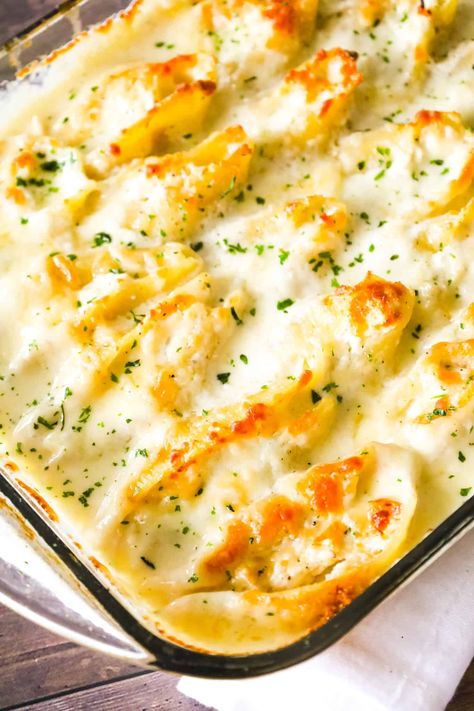 Chicken Alfredo Stuffed Shells are a delicious baked pasta recipe loaded with ricotta cheese, shredded chicken, mozzarella and parmesan all in a creamy garlic sauce. Garlic Butter Chicken Alfredo Shells, Million Dollar Chicken Alfredo Stuffed Shells, Chicken Alfredo Shells Stuffed, Chicken Manicotti Recipe Alfredo Sauce, Chicken And Stuffing Stuffed Shells, Stuffed Chicken Alfredo Shells, White Stuffed Shells, Chicken Alfredo Shells, Stuff Shells