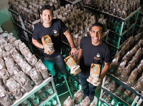 “Our whole company is literally built on trash.” Growing Mushrooms At Home, Mushroom Spores, Mushroom Kits, Mushroom Growing, Mushroom Cultivation, Garden Mushrooms, Organic Protein, Urban Farming, Grow Your Own Food